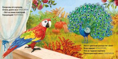 Робинс Книжки - картонки. Загадки - рифмы. Такие разные птицы