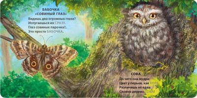 Робинс Книжки - картонки. Загадки - рифмы. Животные - невидимки