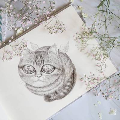 Поп Потерялся кот