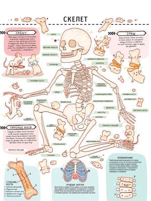 Книга с секретами. Секреты тела человека