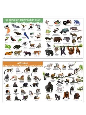 Робинс 1000 картинок. Животные Мира