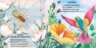 Книжки - картонки. Загадки - рифмы. Кто летает?