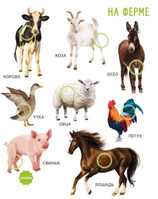 Робинс 50 звуков. Животные