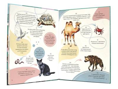 Проф-П Энциклопедия на каждый день. 365 фактов о животных