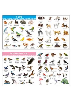 Робинс 1000 картинок. Животные Мира