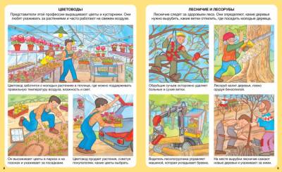 Кем быть? Эмили Бомон