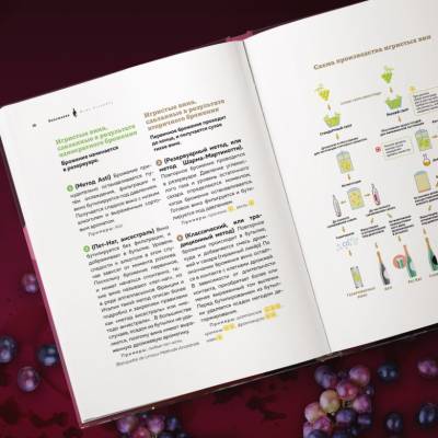 Виномания. Наглядный путеводитель по винному миру. Мережко Д.Ю.