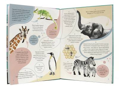 Проф-П Энциклопедия на каждый день. 365 фактов о животных