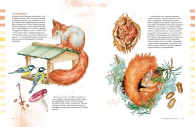 Животные в городе. Где найти и как узнать. Содержание книги Посмотреть содержание книги Илья Алексеевич Гомыранов, Юлия Кручинина