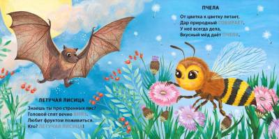 Книжки - картонки. Загадки - рифмы. Кто летает?