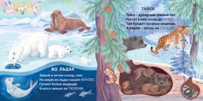 Книжки - картонки. Загадки - рифмы. Кто где живет