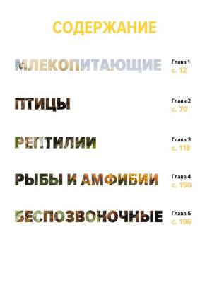 Тайны животных. Большая иллюстрированная энциклопедия. 