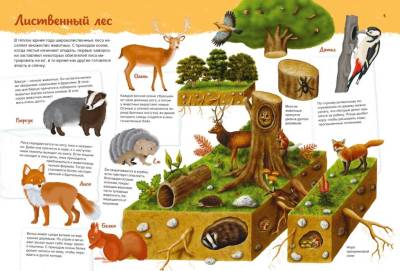 Животные. Мой первый атлас в картинках. Илария Барсотти