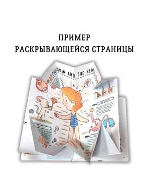 Робинс Книга с секретами. Секреты тела человека