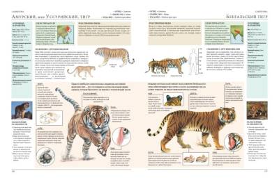Животные мира. Моя большая энциклопедия.