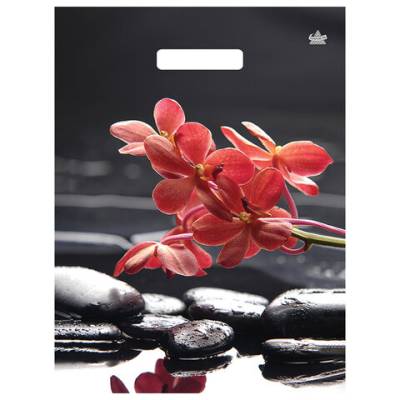 Самсон Пакет с вырубной ручкой ПВД ламинированный, 40х31см, "Гармония", 60мкм, ШК9825