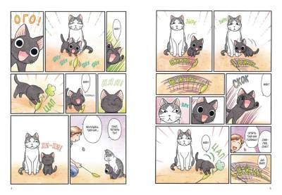 Комиксы | Графические романы - купить книги в Минске в книжном магазине БУКВАЕШКА