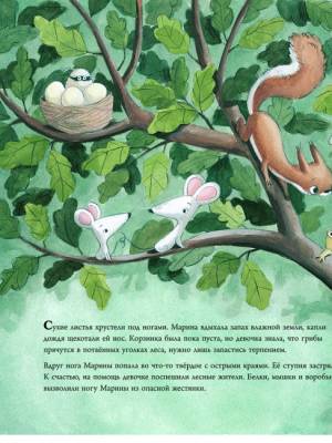 Жестянка в лесу и другие истории об эмпатии. Сюзанна Изерн, Росио Бонилья