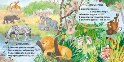 Книжки - картонки. Загадки - рифмы. Кто где живет