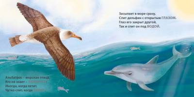 Робинс Книжки - картонки. Загадки - рифмы. Кто как спит