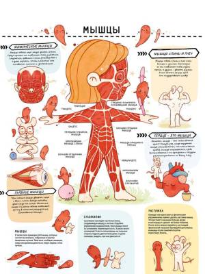 Книга с секретами. Секреты тела человека