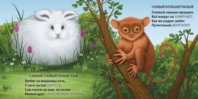 Книжки - картонки. Загадки - рифмы. Самые-самые животные