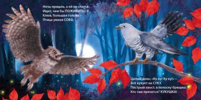 Робинс Книжки - картонки. Загадки - рифмы. Такие разные птицы