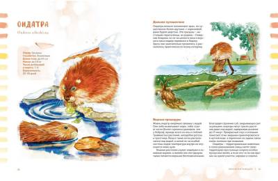 Животные в городе. Где найти и как узнать. Содержание книги Посмотреть содержание книги Илья Алексеевич Гомыранов, Юлия Кручинина