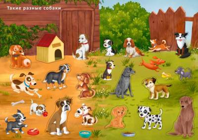 Робинс Наклейки с заданиями. Такие разные животные