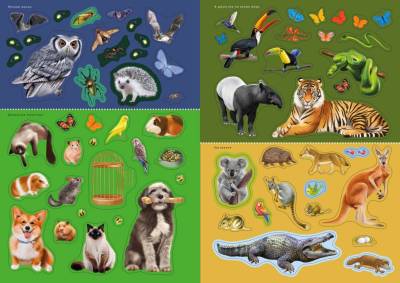 Робинс Наклейки с заданиями. Такие разные животные