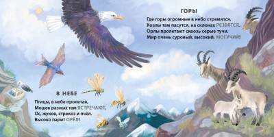 Книжки - картонки. Загадки - рифмы. Кто где живет