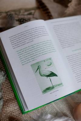 Мифы от и до. Белорусские мифы. От Мары и домашнего ужа до волколака и Злыдни. Елена Левки