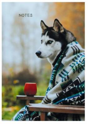 Книга д/записей А5 100л. Осенний друг, глянцевая ламинация