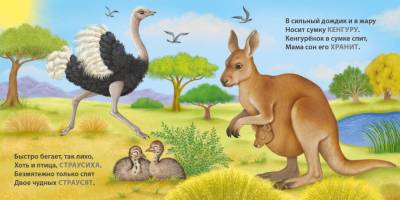 Робинс Книжки - картонки. Загадки - рифмы. Мамы и малыши. Дикие животные