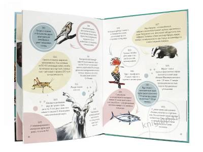 Проф-П Энциклопедия на каждый день. 365 фактов о животных