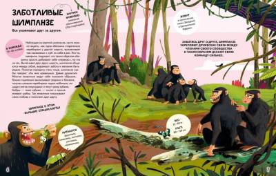 Вместе лучше! Командная работа в мире животных. 