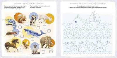 Альбом для развития мозга 5+. Готовимся к школе