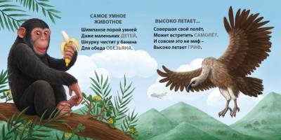 Книжки - картонки. Загадки - рифмы. Самые-самые животные