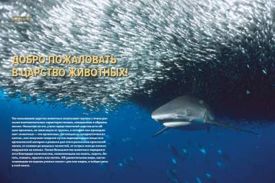 Тайны животных. Большая иллюстрированная энциклопедия. 