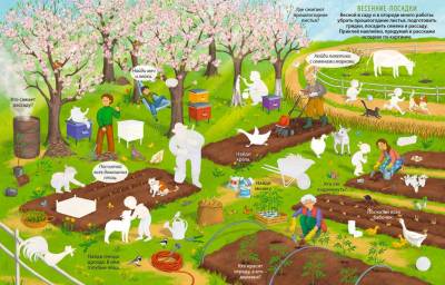 Виммельбух с наклейками. На ферме