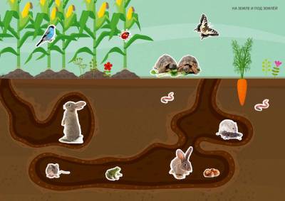 Фотонаклейки. Ферма