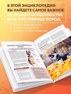 Самые известные породы. СОБАКИ. Большая иллюстрированная энциклопедия