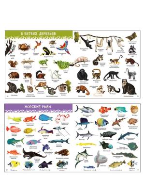 Робинс 1000 картинок. Животные Мира