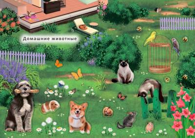 Робинс Наклейки с заданиями. Мои первые животные